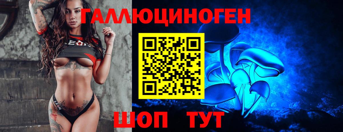 как найти   Псилоцибиновые грибы Magic Shrooms  Псилоцибиновые грибы Psilocybe  Вход с VPN  Северск 